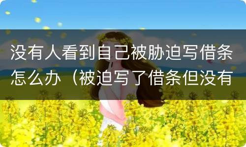 没有人看到自己被胁迫写借条怎么办（被迫写了借条但没有证据怎么办）