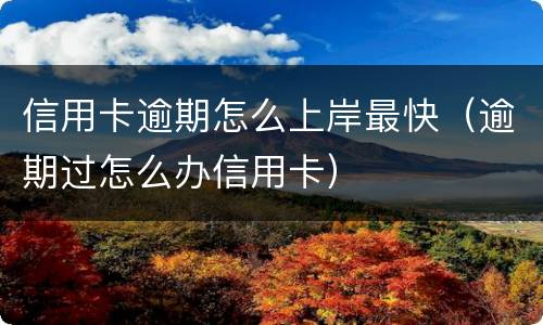 信用卡逾期怎么上岸最快（逾期过怎么办信用卡）