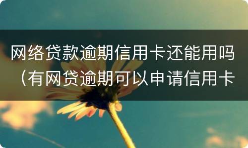 网络贷款逾期信用卡还能用吗（有网贷逾期可以申请信用卡吗?）