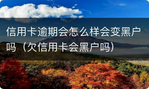 信用卡逾期会怎么样会变黑户吗（欠信用卡会黑户吗）
