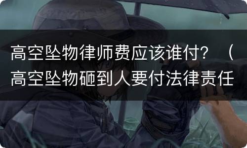 高空坠物律师费应该谁付？（高空坠物砸到人要付法律责任吗）