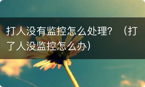 打人没有监控怎么处理？（打了人没监控怎么办）