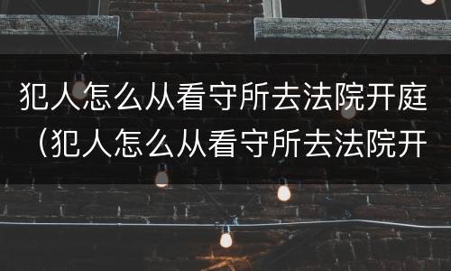 犯人怎么从看守所去法院开庭（犯人怎么从看守所去法院开庭审理）