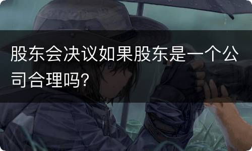 股东会决议如果股东是一个公司合理吗？