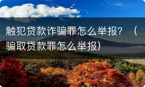触犯贷款诈骗罪怎么举报？（骗取贷款罪怎么举报）