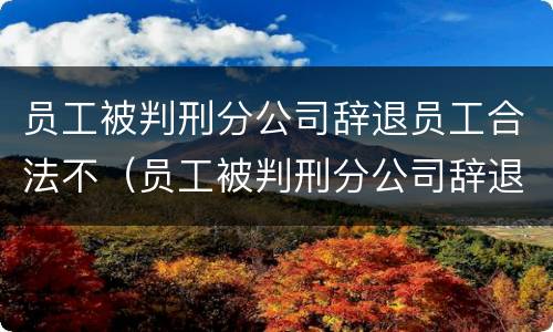 员工被判刑分公司辞退员工合法不（员工被判刑分公司辞退员工合法不）