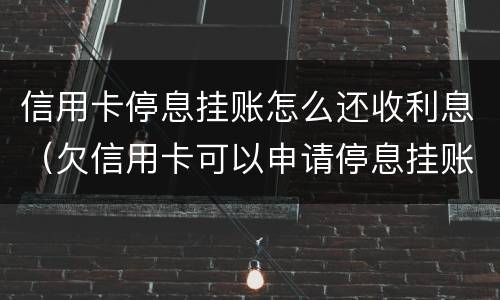 信用卡停息挂账怎么还收利息（欠信用卡可以申请停息挂账吗）
