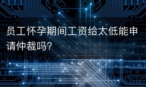 员工怀孕期间工资给太低能申请仲裁吗?