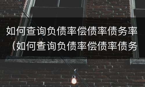 如何查询负债率偿债率债务率（如何查询负债率偿债率债务率情况）
