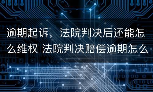 逾期起诉，法院判决后还能怎么维权 法院判决赔偿逾期怎么办