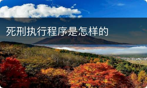 死刑执行程序是怎样的