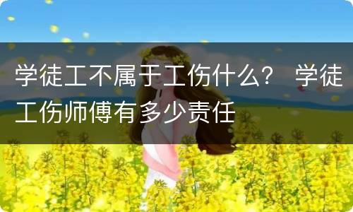 学徒工不属于工伤什么？ 学徒工伤师傅有多少责任