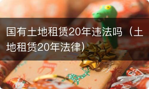 国有土地租赁20年违法吗（土地租赁20年法律）