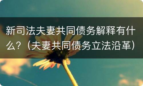 新司法夫妻共同债务解释有什么?（夫妻共同债务立法沿革）