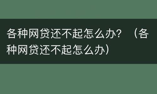 各种网贷还不起怎么办？（各种网贷还不起怎么办）