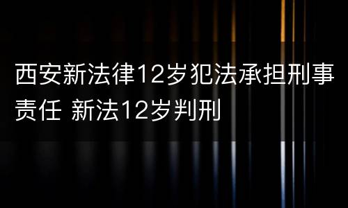 西安新法律12岁犯法承担刑事责任 新法12岁判刑