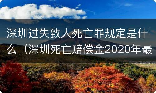 深圳过失致人死亡罪规定是什么（深圳死亡赔偿金2020年最新标准）