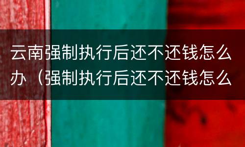云南强制执行后还不还钱怎么办（强制执行后还不还钱怎么办?可以申请对方服刑吗?）