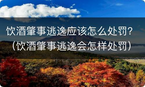 饮酒肇事逃逸应该怎么处罚？（饮酒肇事逃逸会怎样处罚）
