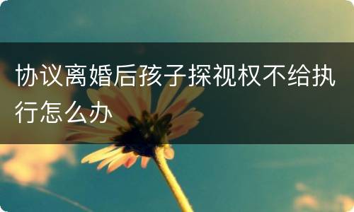 协议离婚后孩子探视权不给执行怎么办