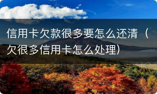 信用卡欠款很多要怎么还清（欠很多信用卡怎么处理）