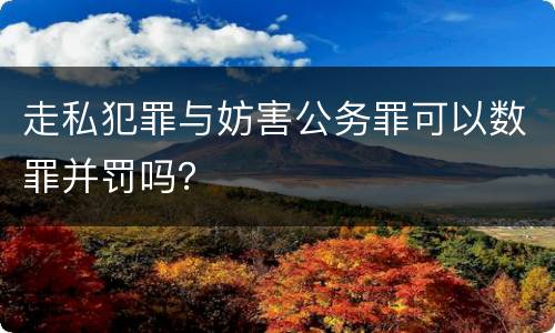 走私犯罪与妨害公务罪可以数罪并罚吗？