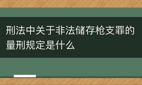刑法中关于非法储存枪支罪的量刑规定是什么
