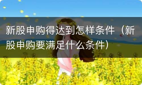 新股申购得达到怎样条件（新股申购要满足什么条件）
