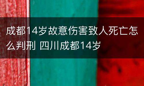 成都14岁故意伤害致人死亡怎么判刑 四川成都14岁