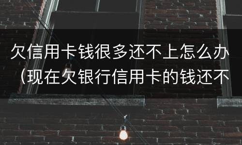 欠信用卡钱很多还不上怎么办（现在欠银行信用卡的钱还不上怎么办呀）
