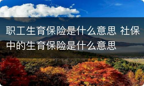 职工生育保险是什么意思 社保中的生育保险是什么意思