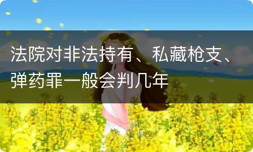 法院对非法持有、私藏枪支、弹药罪一般会判几年