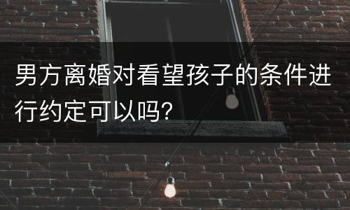 男方离婚对看望孩子的条件进行约定可以吗？