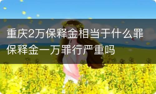 重庆2万保释金相当于什么罪 保释金一万罪行严重吗