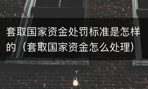套取国家资金处罚标准是怎样的（套取国家资金怎么处理）
