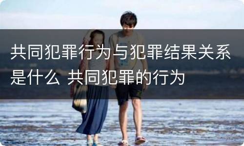 共同犯罪行为与犯罪结果关系是什么 共同犯罪的行为