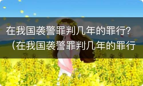 在我国袭警罪判几年的罪行？（在我国袭警罪判几年的罪行是）