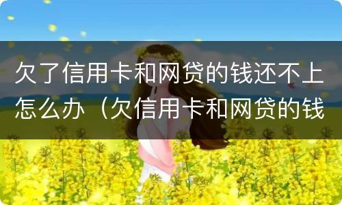 欠了信用卡和网贷的钱还不上怎么办（欠信用卡和网贷的钱无力偿还怎么办）