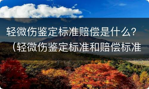 轻微伤鉴定标准赔偿是什么？（轻微伤鉴定标准和赔偿标准）