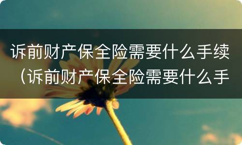 诉前财产保全险需要什么手续（诉前财产保全险需要什么手续和证件）