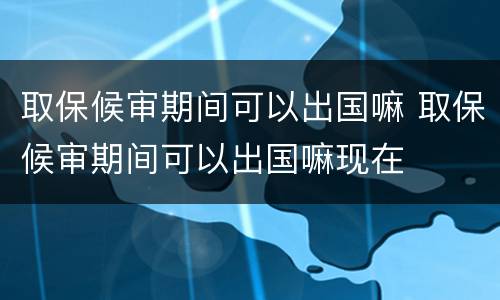 取保候审期间可以出国嘛 取保候审期间可以出国嘛现在