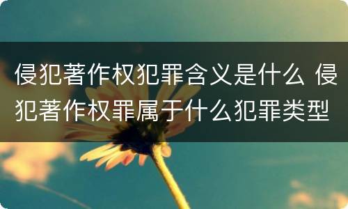 侵犯著作权犯罪含义是什么 侵犯著作权罪属于什么犯罪类型