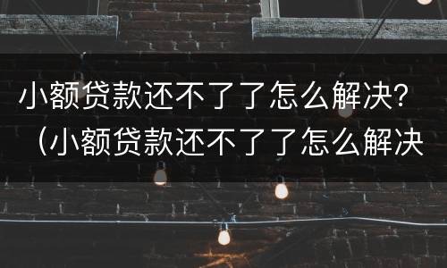小额贷款还不了了怎么解决？（小额贷款还不了了怎么解决）