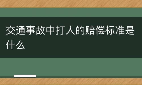 交通事故中打人的赔偿标准是什么