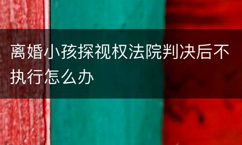 离婚小孩探视权法院判决后不执行怎么办