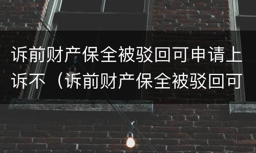 诉前财产保全被驳回可申请上诉不（诉前财产保全被驳回可申请上诉不起诉吗）