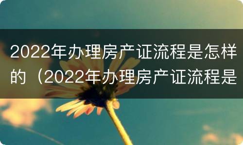 2022年办理房产证流程是怎样的（2022年办理房产证流程是怎样的呢）