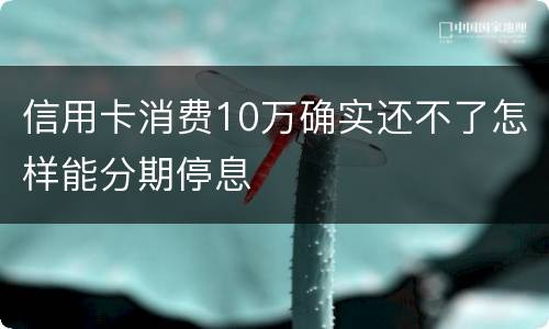 信用卡消费10万确实还不了怎样能分期停息