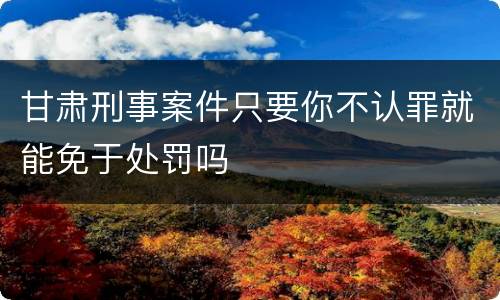 甘肃刑事案件只要你不认罪就能免于处罚吗