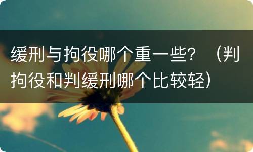缓刑与拘役哪个重一些？（判拘役和判缓刑哪个比较轻）